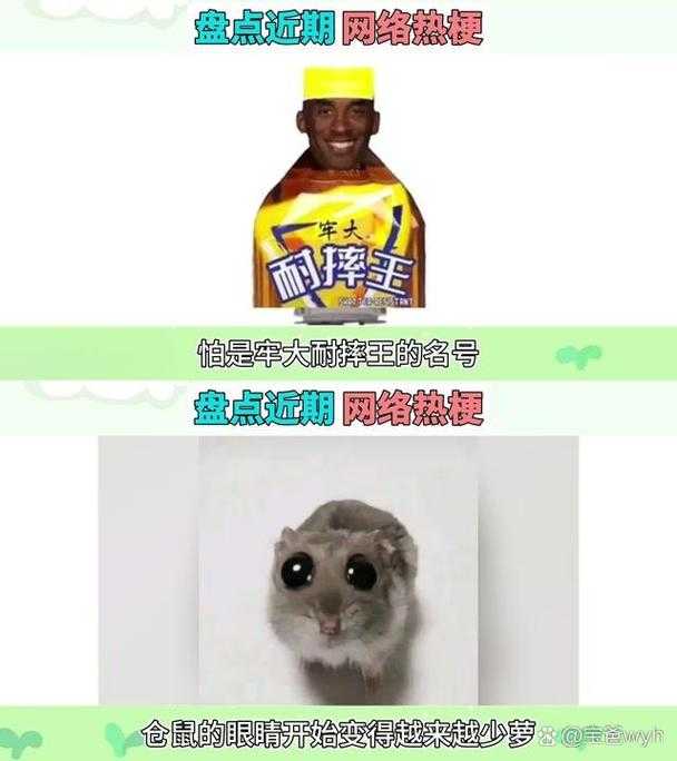 永恒梗:揭秘网络热梗背后的文化现象