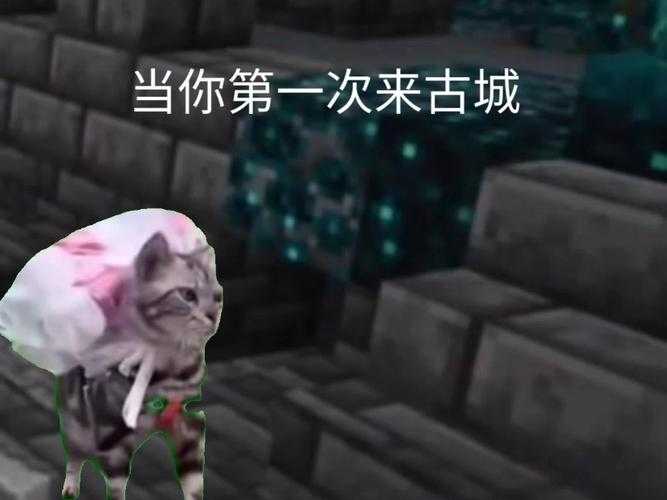 永恒猫咪我的世界视频解说 永恒,解说 猫咪