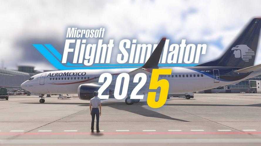 《模拟飞行2004》2025年深度使用指南