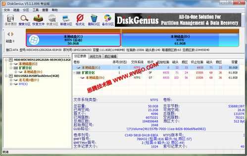 DiskGenius破解版风险分析:技术特征与传播