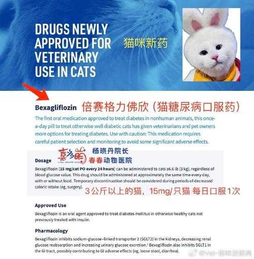 关于贝雷斯宠物胶囊收藏价值转折期的策略指南(优化版)