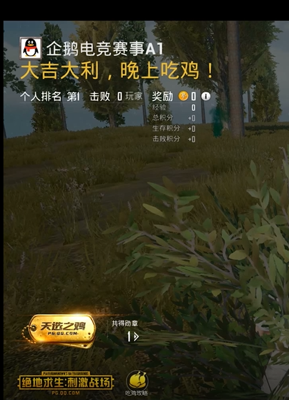 企鹅电竞十大枪战主播实力盘点,吃鸡王者谁与争锋