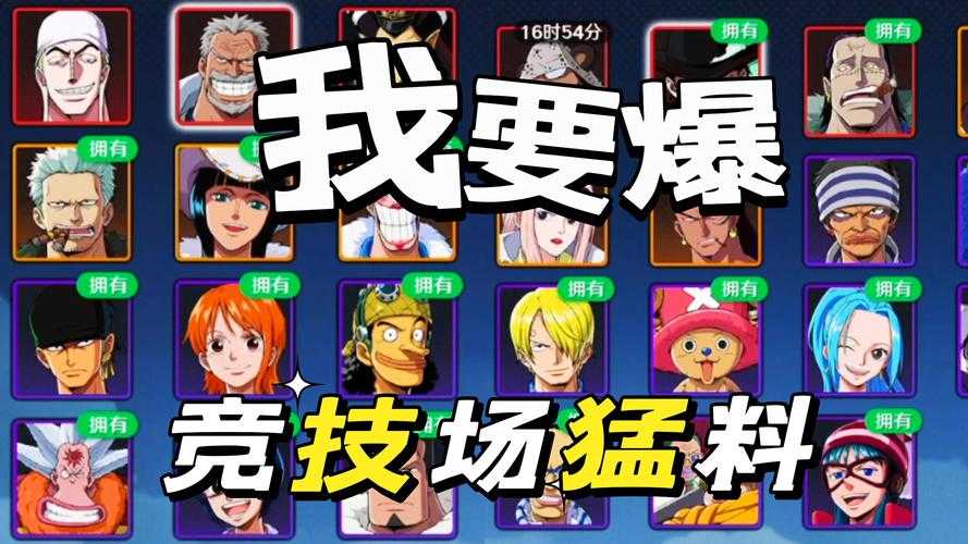 2025海贼炫斗实战攻略:角色伙伴培养与技巧指南