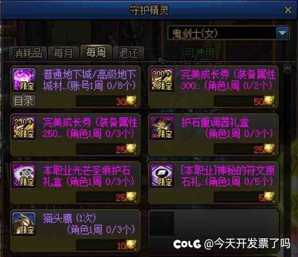 DNF 2025公会硬币三策略与资源整合