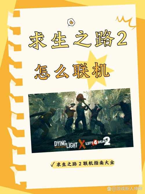 求生之路2联机教程：轻松组队对战秘籍