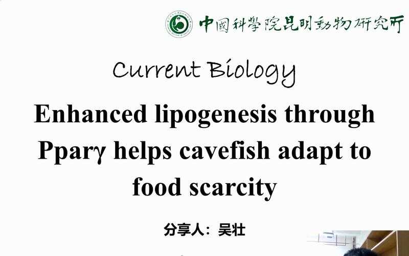 《Current Biology》2025年IF13.5 Q1前五即时IF9.8
