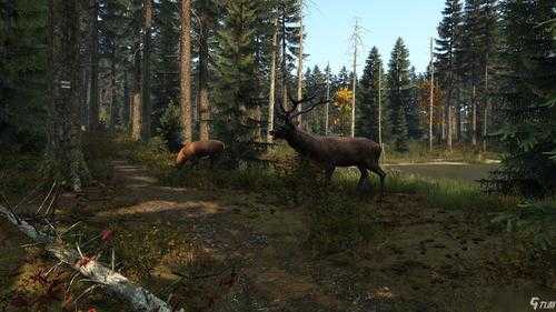 2025《DayZ》自制版避坑下载实战全攻略