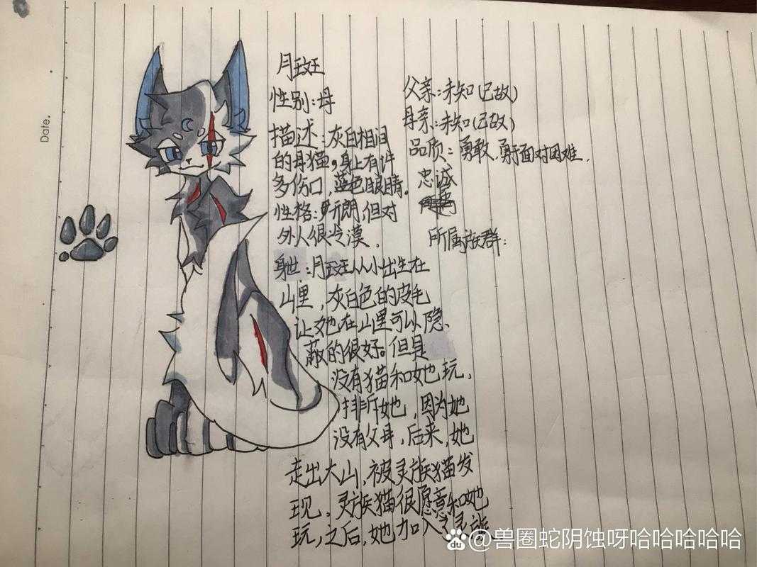 dnf树精卡片