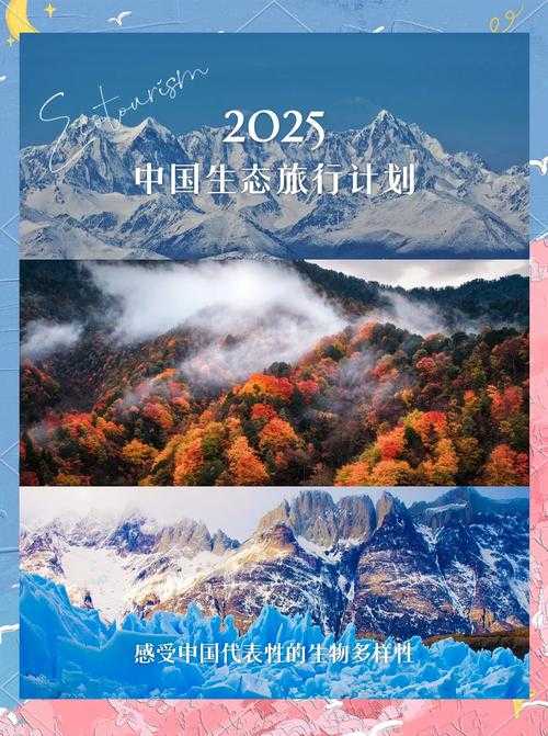 《命运之夜》2025生态全观察:版本迭代、社区与未来趋势