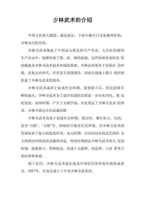 《新功夫少林》深度体验分析报告
