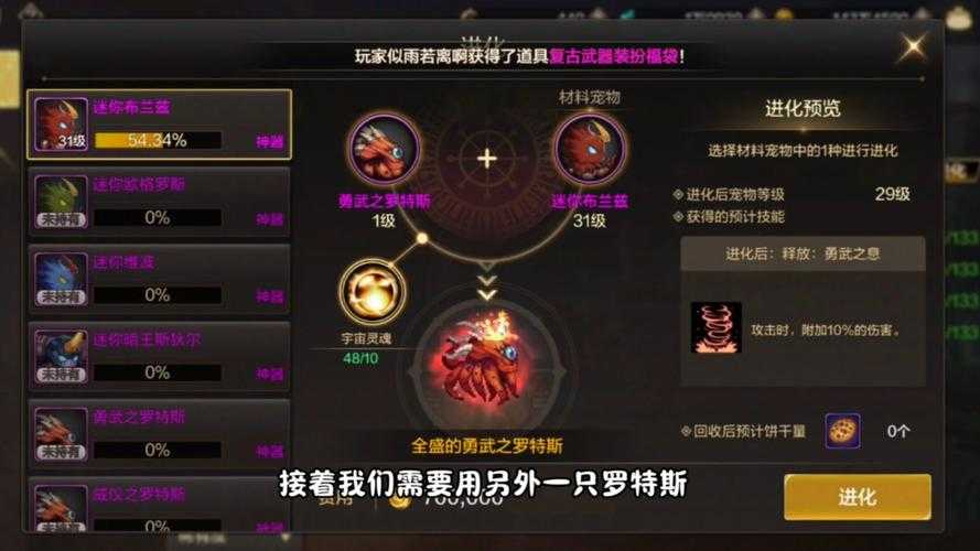 DNF手游2025史诗宠物装备升级优先指南