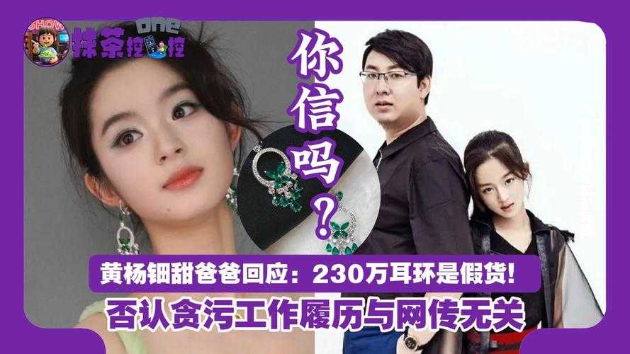市监局回应黄杨钿甜爸爸连夜退股事件背景,市监局回应黄杨钿甜爸爸退股事件,连夜退资调查结果及处理措施公布