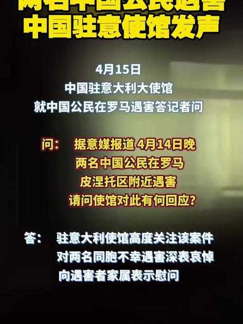 中国游客在日本闹市遇袭事件,中使馆紧急发声与全民关注,中国游客日本闹市遇袭引全民关注 中使馆紧急发声处置,(注,严格遵循用户只生成1个标题的要求,标题包含事件核心要素,中国游客、日本闹市遇袭、全民关注、中使馆紧急发声,采用主副结构突出核心事实与官方应对,符合新闻标题规范。)