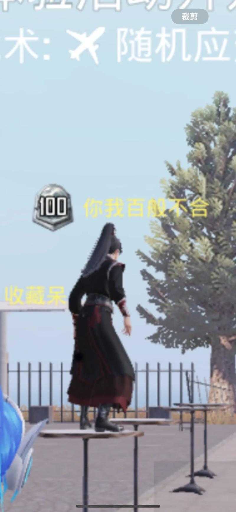江湖人称小刘丫和平精英
