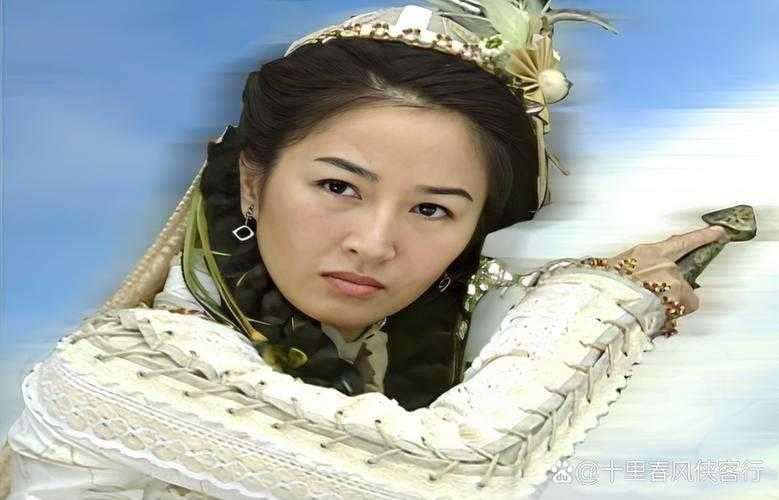 江湖恩仇录:金花瓶楷梅花2之武林秘史