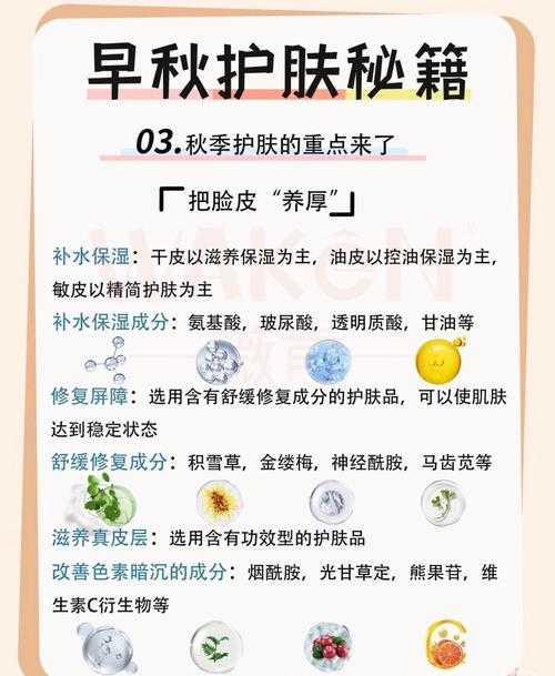 江美子护肤秘籍:轻松打造水润透亮肌