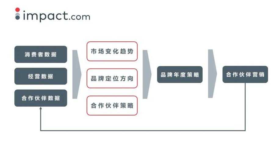 品牌合作背景与市场定位