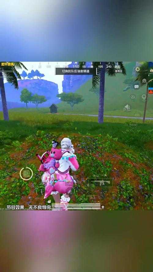 汪弟弟玩和平精英视频在线观看 弟弟 视频 弟弟