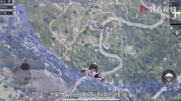 汪弟弟玩和平精英视频在线观看