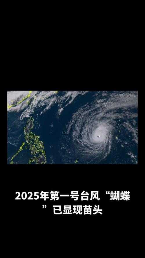 撕裂海面的巨兽,台风蝴蝶进化论