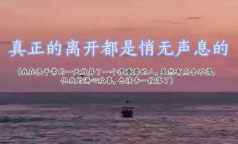 告别视频中的最后时刻,平凡与不凡的交织
