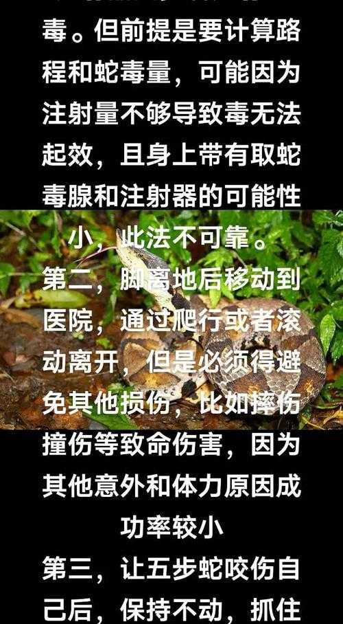 生死瞬间,八旬老人徒手踩碎剧毒五步蛇,带蛇就医创野外科救奇迹