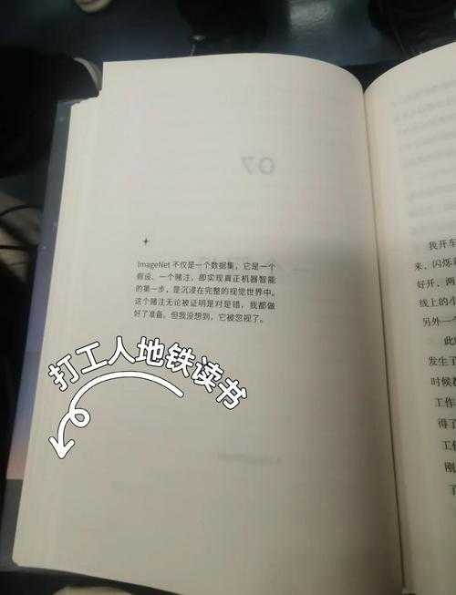 沉溺在我看见的世界里小说