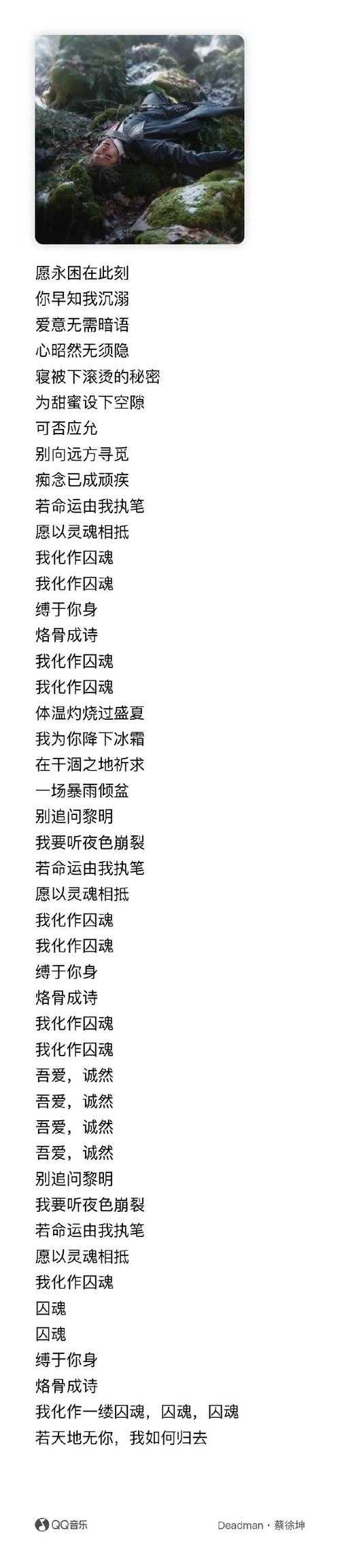 沉溺在我看见的世界里是什么歌，世界 沉溺在 歌词