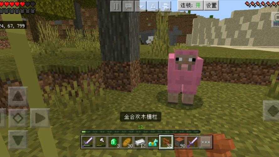沉羊我的世界西瓜视频