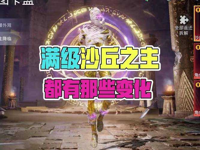沙漠之秋搭配和平精英好吗 套装 精英 沙漠