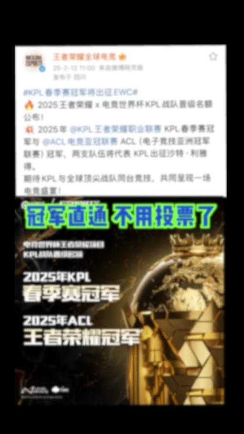 沙特王者荣耀全部比赛赛程 沙特 选手 赛程