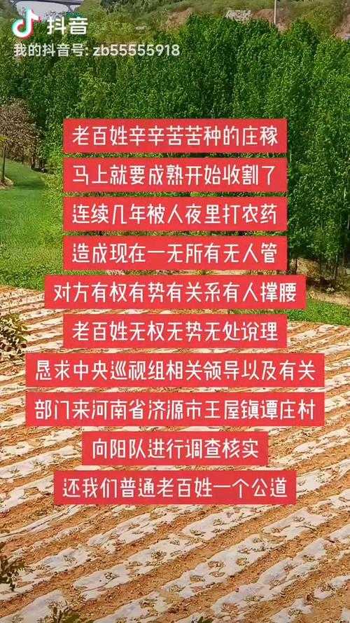河北深州贴吧最新爆料与民生热点