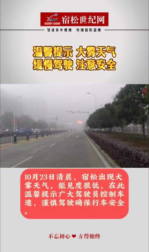 河南大雾出行指南：安全提示与实时路况