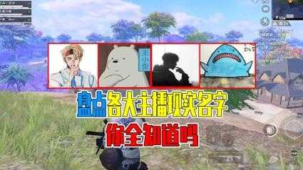 河南方言主播和平精英是谁