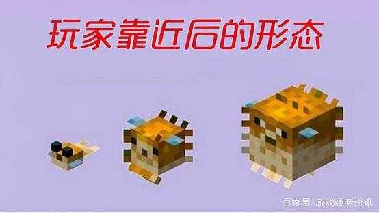 河豚刷在哪种海我的世界