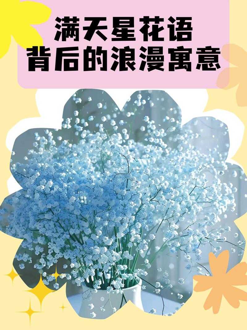 法国满天星太太们的浪漫花园