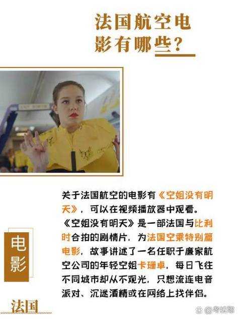 法国空乘服务体验与职业发展全解析