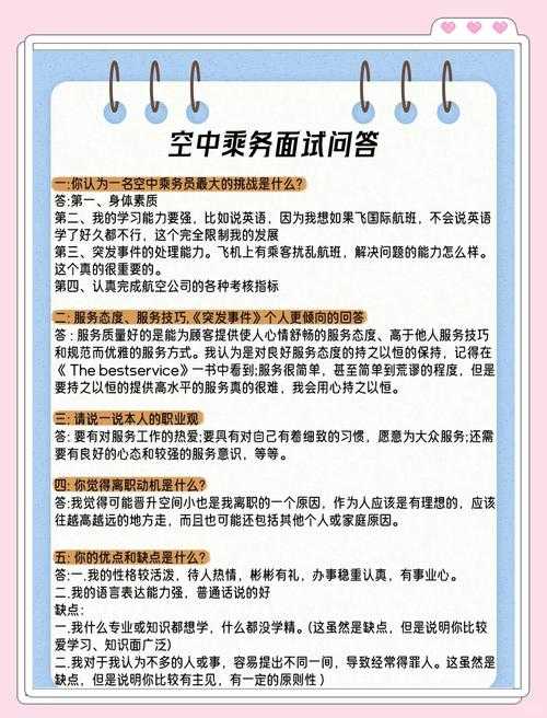 法国空乘服务体验与职业发展指南