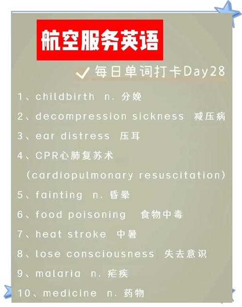 法国空姐英语服务指南：提升您的飞行体验
