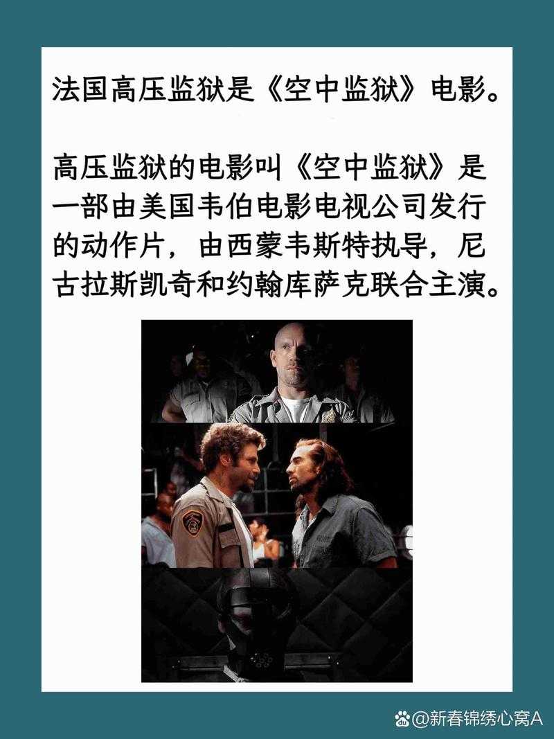 法版啄木鸟高压监狱上映年份解析