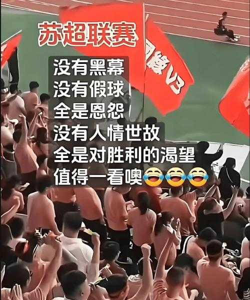 苏超夺冠背后的江苏经济密码，从绿茵场到产业线的全景解读