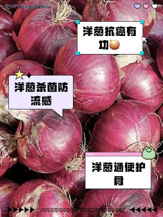 洋葱的10大功效与作用,吃对才健康