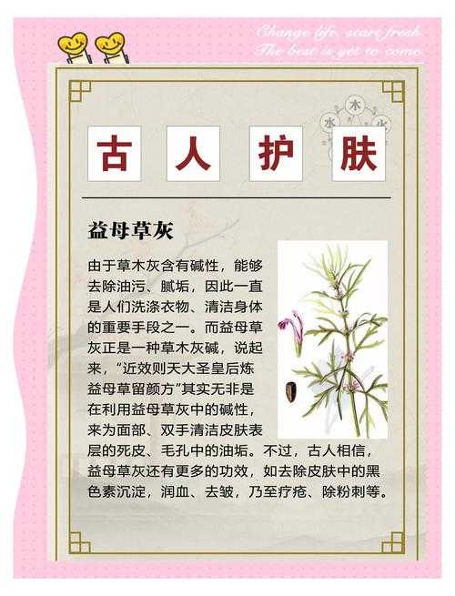 洗铅华:古代美容秘方与现代护肤启示