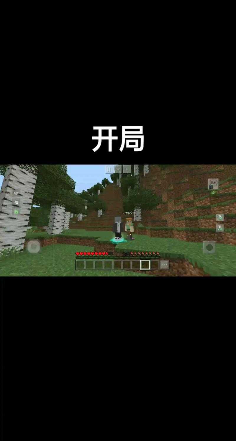 浪哥出生在我的世界里 存档 我的 生在