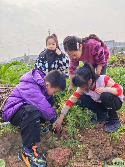 浪漫二人世界：拔萝卜与爱的结晶