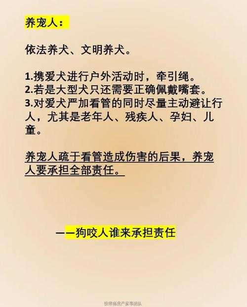 事件经过，一只牧羊犬的意外行为引发家庭危机