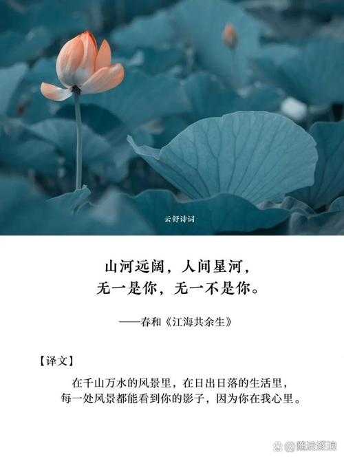 浮生落羽冷轻寒:诗意人生与岁月静好