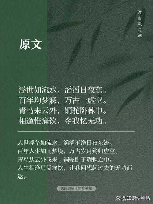 浮生陌路:红尘中的邂逅与别离