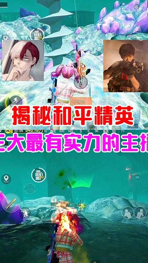 浮萍粉丝主播和平精英