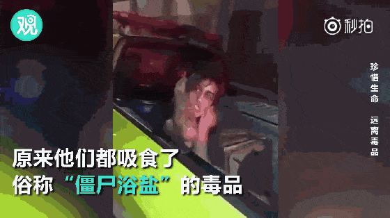 浴盐土冰真名揭秘 丧尸药成分解析